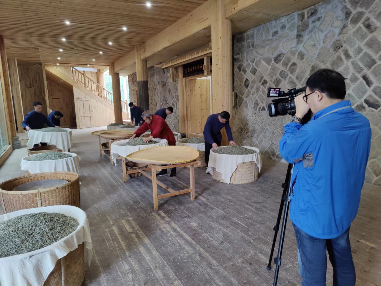 中央广播电视总台摄制组莅鼎拍摄沙巴体育白茶国家级传统制茶技艺