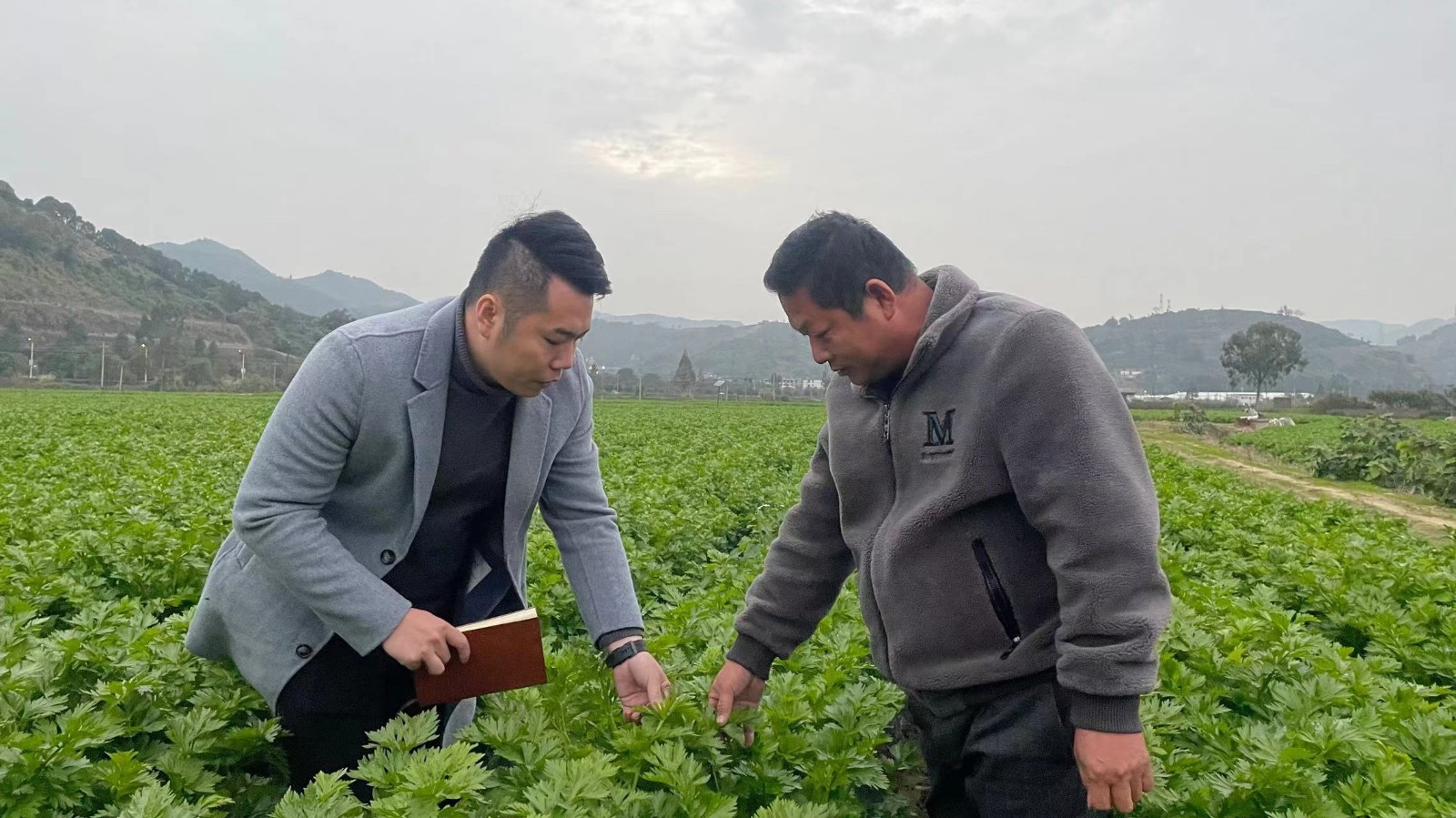 人大代表风采| 钟玉龙：扎根基层 为民服务