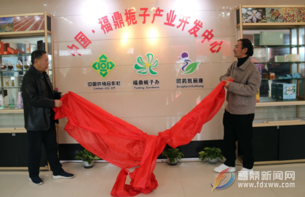 中国·沙巴体育栀子产业开发中心揭牌