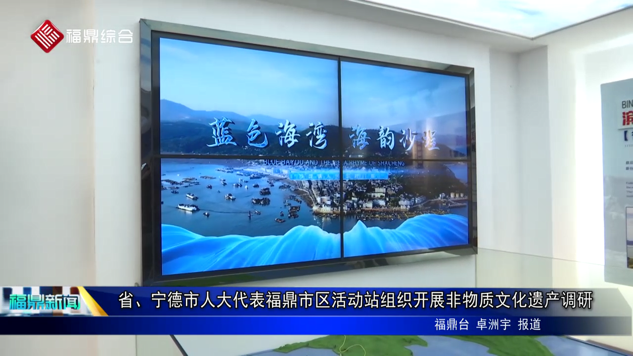 省、宁德市人大代表沙巴体育市区活动站组织开展非物质文化遗产调研